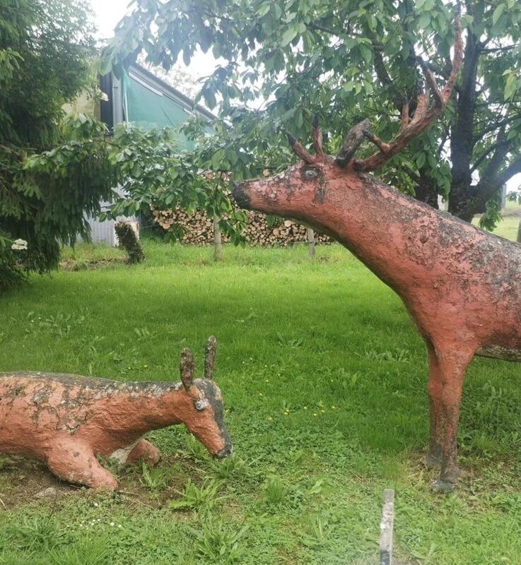 La biche et le cerf